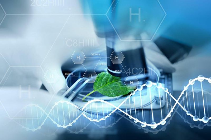 拓臻生物：生物医药的未来风向标